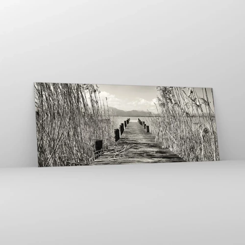 Glasbild - Bild auf glas - In der Stille des Grases - 100x40 cm