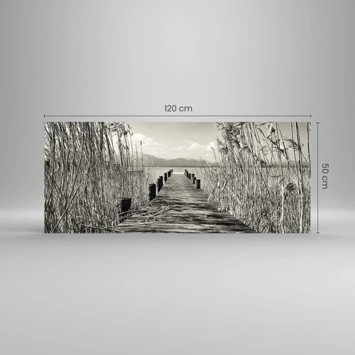 Glasbild - Bild auf glas - In der Stille des Grases - 120x50 cm