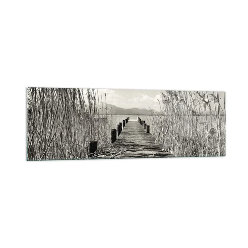 Glasbild - Bild auf glas - In der Stille des Grases - 160x50 cm