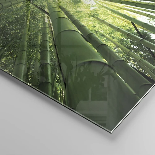 Glasbild - Bild auf glas - In einem Bambushain - 100x70 cm