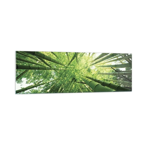 Glasbild - Bild auf glas - In einem Bambushain - 160x50 cm