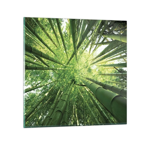 Glasbild - Bild auf glas - In einem Bambushain - 50x50 cm