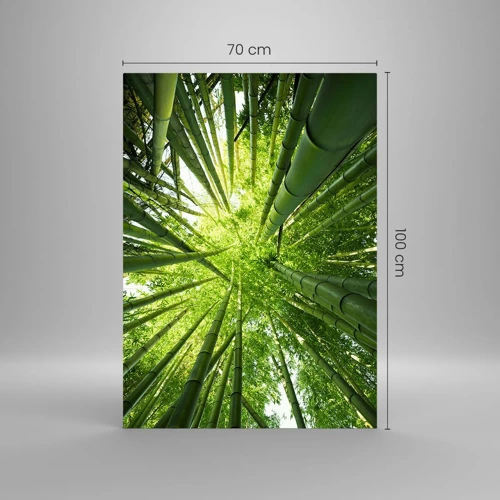Glasbild - Bild auf glas - In einem Bambushain - 70x100 cm