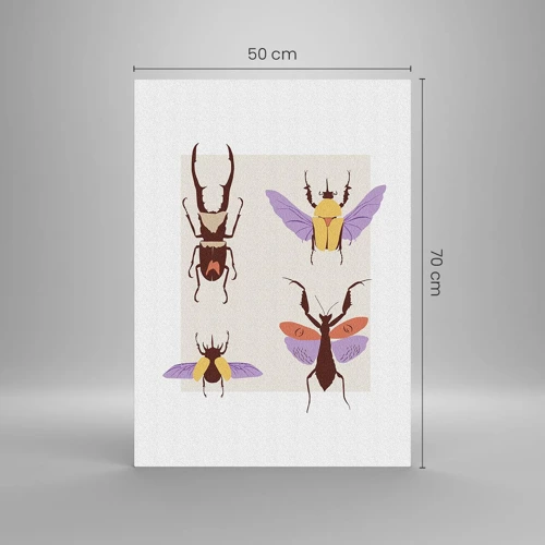 Glasbild - Bild auf glas - Insektenwelt - 50x70 cm