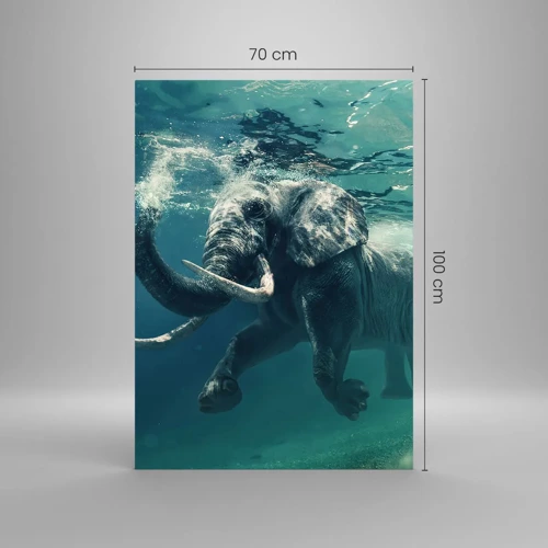 Glasbild - Bild auf glas - Jeder schwimmt gerne - 70x100 cm