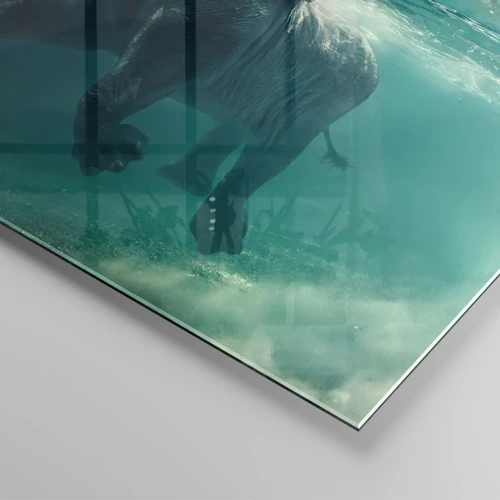 Glasbild - Bild auf glas - Jeder schwimmt gerne - 70x100 cm