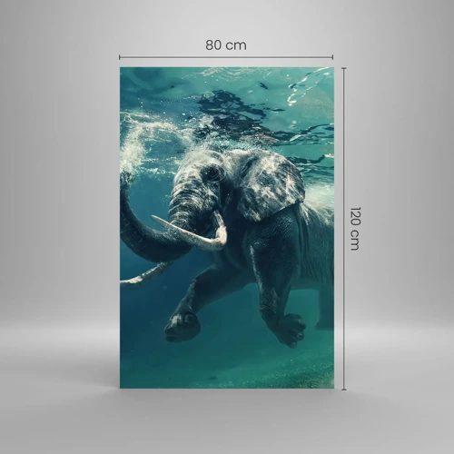 Glasbild - Bild auf glas - Jeder schwimmt gerne - 80x120 cm