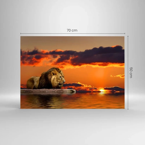 Glasbild - Bild auf glas - König der Natur - 70x50 cm