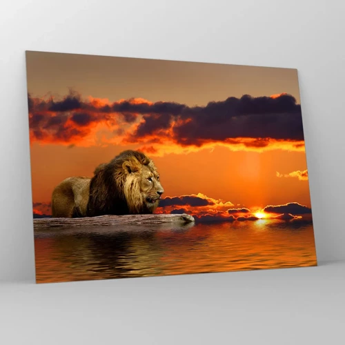 Glasbild - Bild auf glas - König der Natur - 70x50 cm