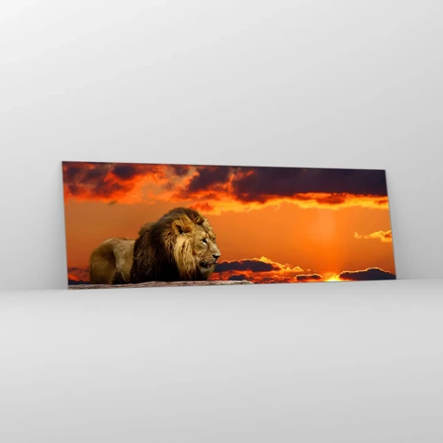 Glasbild - Bild auf glas - König der Natur - 90x30 cm
