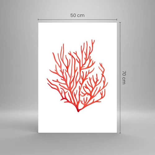 Glasbild - Bild auf glas - Korallenfiligran - 50x70 cm