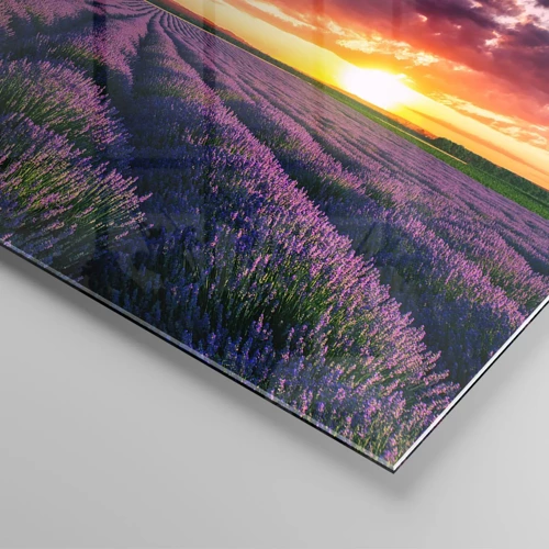 Glasbild - Bild auf glas - Lavendel Welt - 40x40 cm