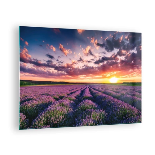 Glasbild - Bild auf glas - Lavendel Welt - 70x50 cm