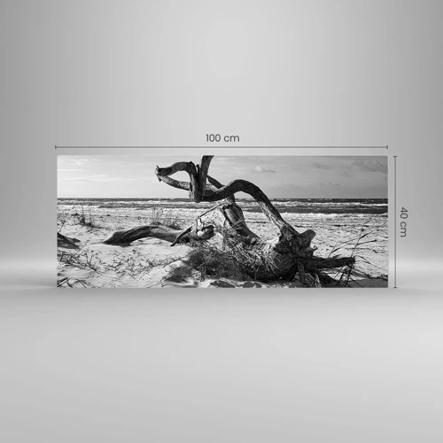 Glasbild - Bild auf glas - Meeresskulptur - 100x40 cm