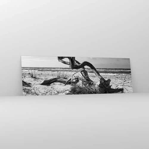Glasbild - Bild auf glas - Meeresskulptur - 160x50 cm