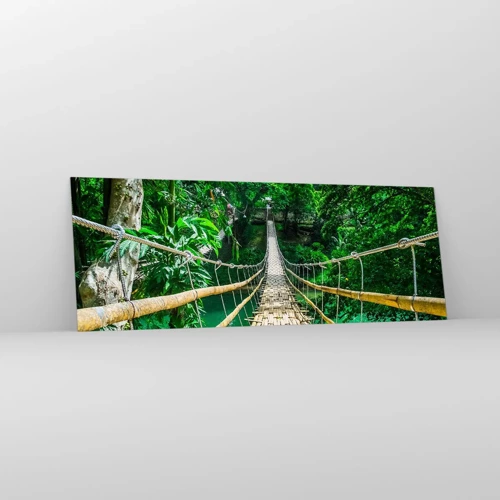 Glasbild - Bild auf glas - Monkey Bridge über das Grün - 140x50 cm