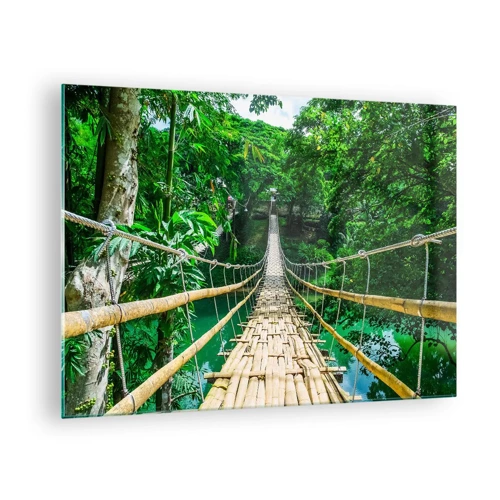 Glasbild - Bild auf glas - Monkey Bridge über das Grün - 70x50 cm