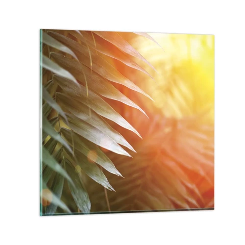 Glasbild - Bild auf glas - Morgen im Dschungel - 40x40 cm