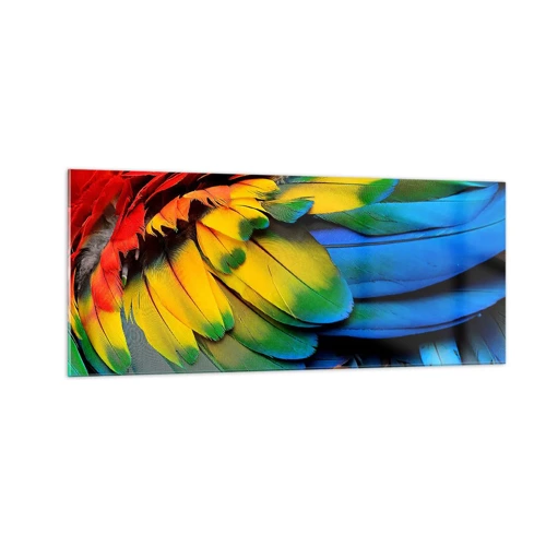 Glasbild - Bild auf glas - Paradiesvogel - 100x40 cm