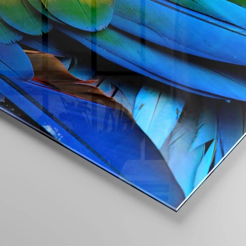 Glasbild - Bild auf glas - Paradiesvogel - 160x50 cm