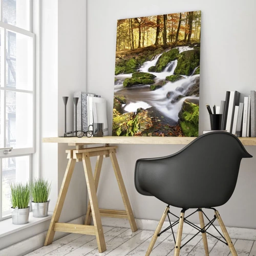 Glasbild - Bild auf glas - Rasch durch den herbstlichen Wald - 50x70 cm