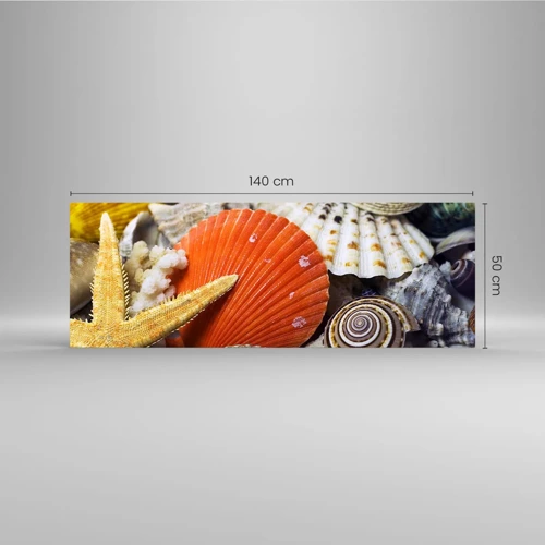 Glasbild - Bild auf glas - Schätze des Ozeans - 140x50 cm
