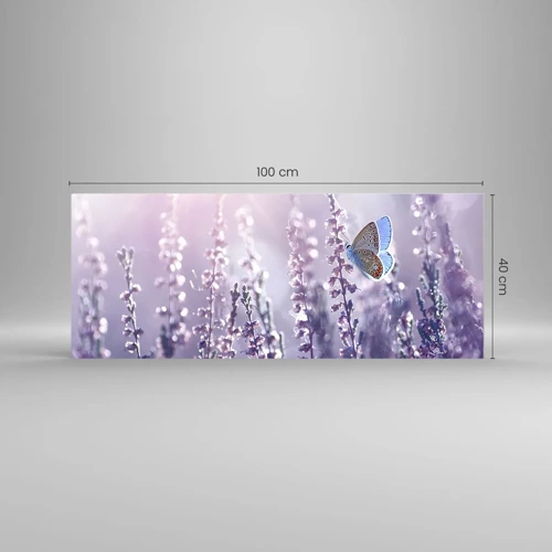 Glasbild - Bild auf glas - Schmetterlingskuss - 100x40 cm