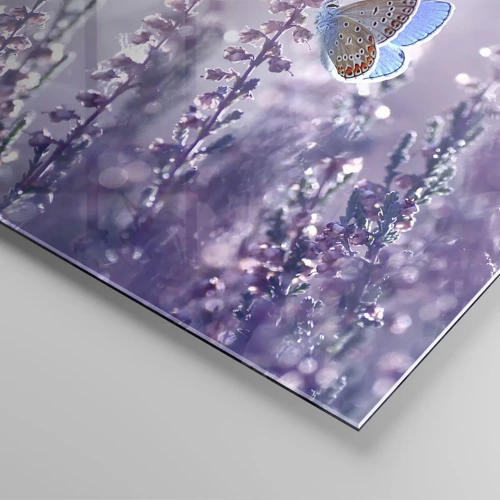 Glasbild - Bild auf glas - Schmetterlingskuss - 120x50 cm