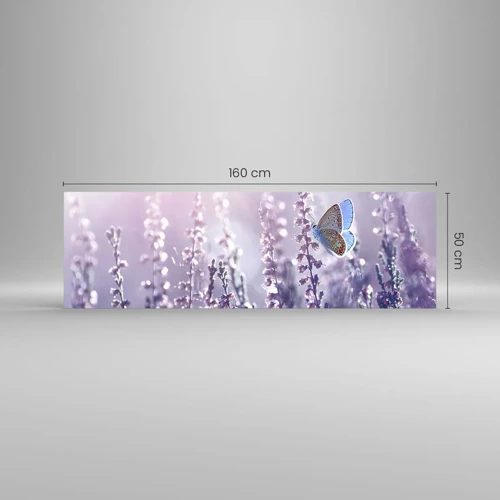 Glasbild - Bild auf glas - Schmetterlingskuss - 160x50 cm