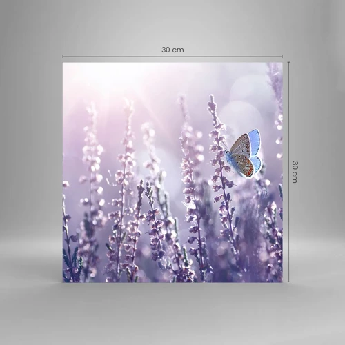 Glasbild - Bild auf glas - Schmetterlingskuss - 30x30 cm