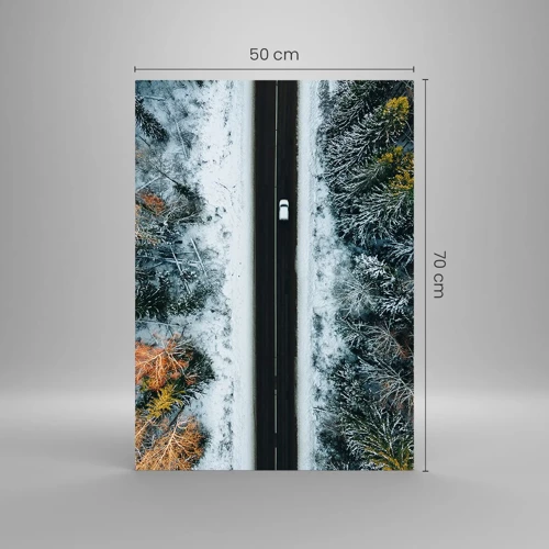 Glasbild - Bild auf glas - Schnitt durch den Winterwald - 50x70 cm