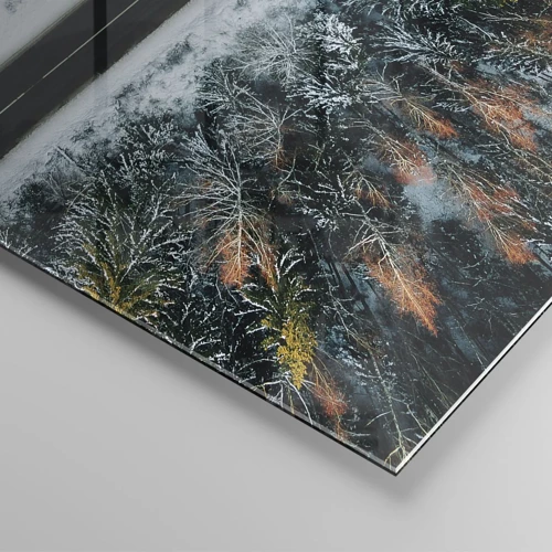 Glasbild - Bild auf glas - Schnitt durch den Winterwald - 50x70 cm