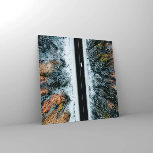 Glasbild - Bild auf glas - Schnitt durch den Winterwald - 60x60 cm