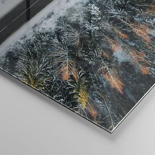 Glasbild - Bild auf glas - Schnitt durch den Winterwald - 70x50 cm