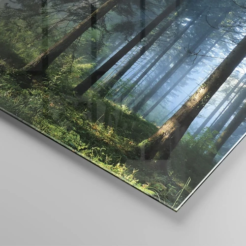 Glasbild - Bild auf glas - Strahlend am Morgen - 60x60 cm