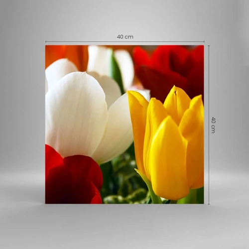 Glasbild - Bild auf glas - Tulpenfieber - 40x40 cm