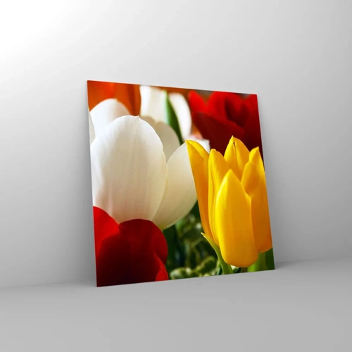 Glasbild - Bild auf glas - Tulpenfieber - 40x40 cm