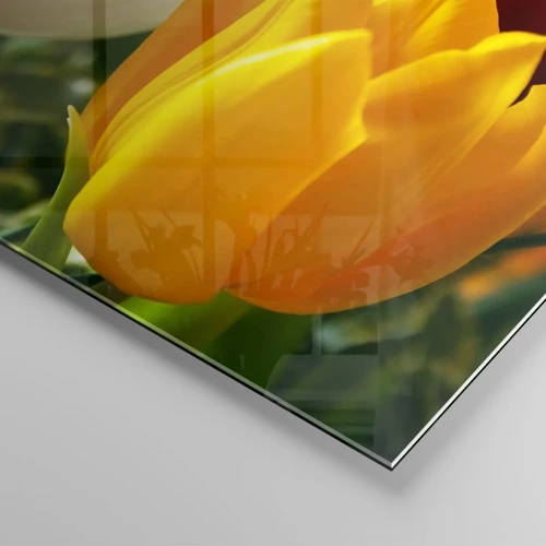 Glasbild - Bild auf glas - Tulpenfieber - 50x50 cm