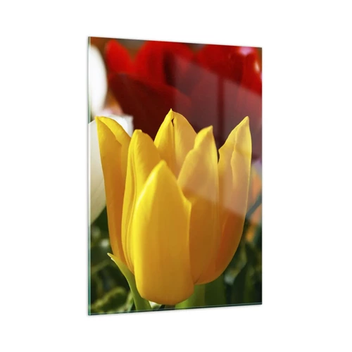 Glasbild - Bild auf glas - Tulpenfieber - 50x70 cm