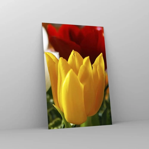 Glasbild - Bild auf glas - Tulpenfieber - 80x120 cm