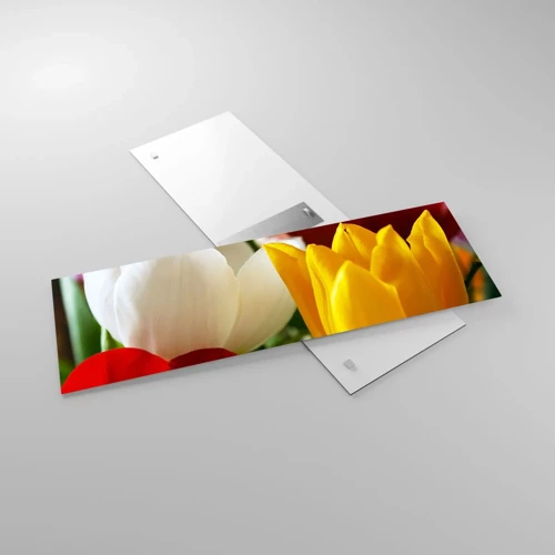 Glasbild - Bild auf glas - Tulpenfieber - 90x30 cm