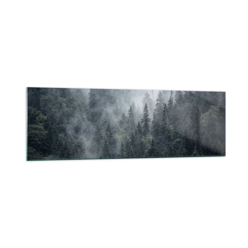 Glasbild - Bild auf glas - Walddämmerung - 160x50 cm