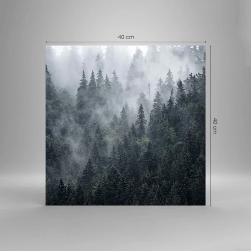 Glasbild - Bild auf glas - Walddämmerung - 40x40 cm