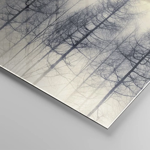 Glasbild - Bild auf glas - Waldgeister - 50x70 cm