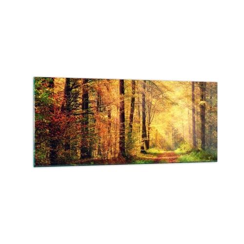 Glasbild - Bild auf glas - Waldgoldene Stille - 120x50 cm