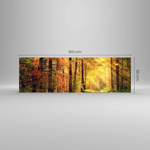 Glasbild - Bild auf glas - Waldgoldene Stille - 160x50 cm