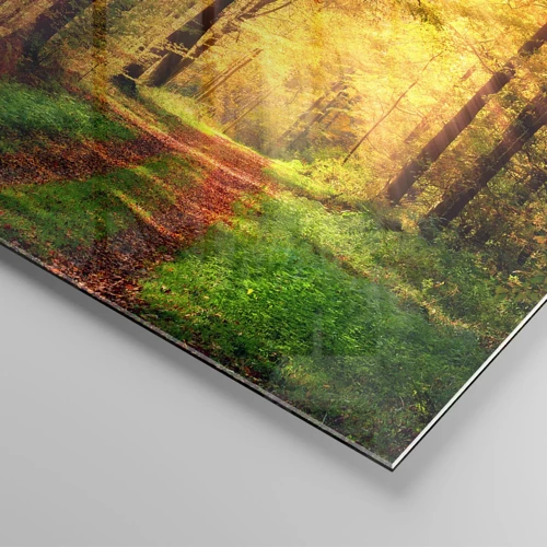 Glasbild - Bild auf glas - Waldgoldene Stille - 160x50 cm