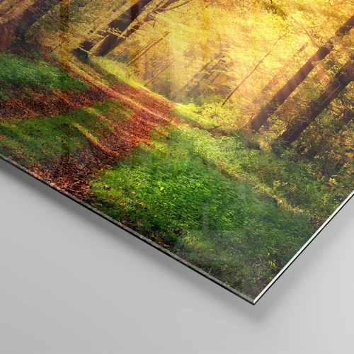 Glasbild - Bild auf glas - Waldgoldene Stille - 50x50 cm