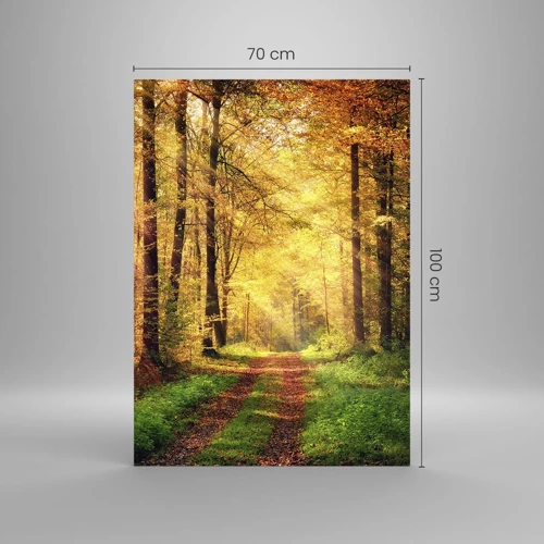 Glasbild - Bild auf glas - Waldgoldene Stille - 70x100 cm