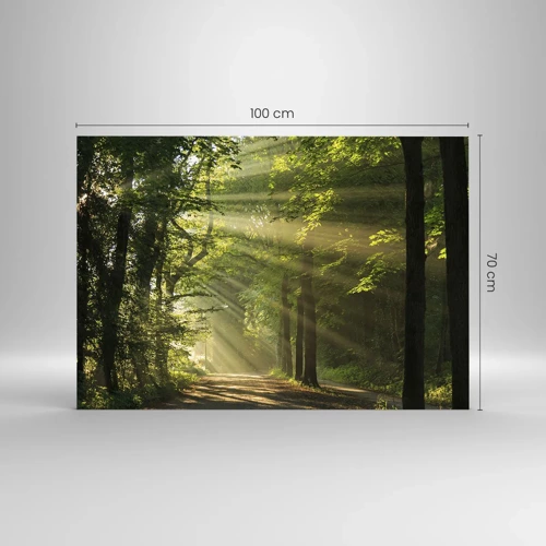 Glasbild - Bild auf glas - Waldmoment - 100x70 cm